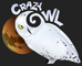 Crazy Owl logo